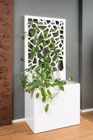 A Freestanding Screen Offering Privacy