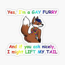 Gay Furry Sticker - Sticker Graphic - Auto, Wall, Laptop, Cell, Truck  Sticker for Windows, Cars, Trucks : Amazon.co.uk: Automotive