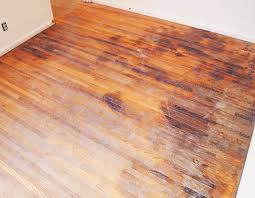 what if my hardwood floor has pet stains