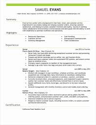 10 Example Of Resume Summary Attendance Sheet