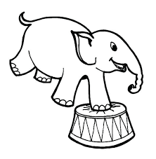Membuat sketsa gajah hampir sama dengan membuat sketsa gambar kartun keduanya harus dilakukan dengan teliti. Kumpulan Gambar Sketsa Gajah Hewan Besar Dengan Belalai Panjang Worldofghibli Id