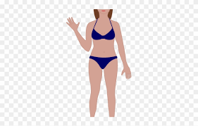 Body Clipart Swimsuit Erogenous Zones Chart Female Png