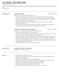 database management resume sles