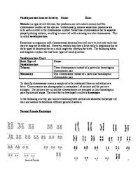 Karyotyping is a lab procedure that helps your doctor examine your chromosomes. Karyotyping Activity Worksheets Teachers Pay Teachers