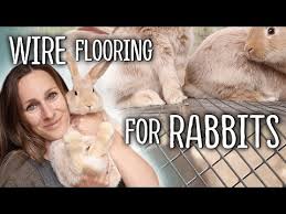 wire flooring for rabbits the truth