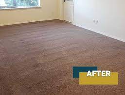 1 carpet cleaning in kennewick 5 star