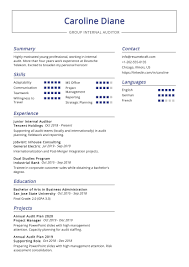 group internal auditor resume sample