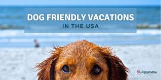 dog friendly vacations in the usa