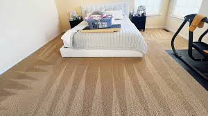 carpet cleaning specials in 2023