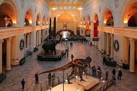 The new leonardo galleries, the interactive lab and the most important historical collection in the world of machine models. Museo Storia Naturale New York