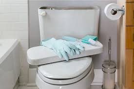 How To Clean A Toilet Tank The Right Way
