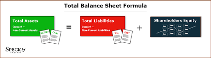 The Balance Sheet Speck Company