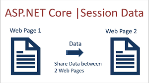 asp net core session data you