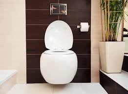 Average Toilet Installation Costs In