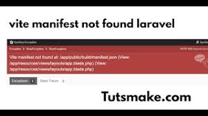 vite manifest not found laravel you