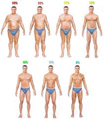 mering body fat percene