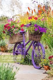 Purple Bike Planter By Gap Photos
