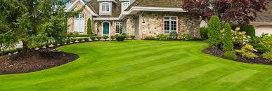 Preparing Your New Lawn For Winter