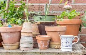 5 Types Of Outdoor Plant Containers