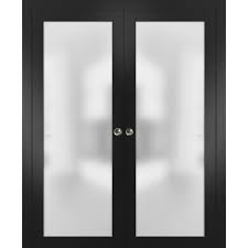 Double Pocket Door Frosted Glass