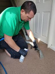 best carpet cleaners in margate for