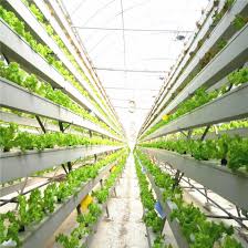 High Tech Low Cost Agricultural Glass