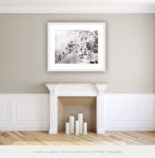 Flower Photography Above The Fireplace