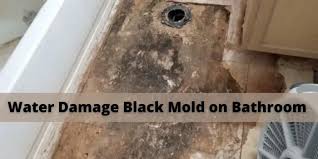 black mold on bathroom suloor
