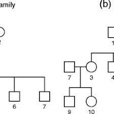 Family Tree There Are Two Different Types Of Family