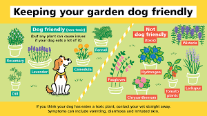 Keeping Your Garden Dog Friendly