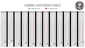 Canine Gestation Table Strictly Bull Terriers