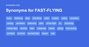 flying carpet synonyms
