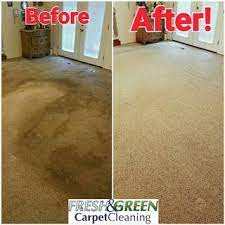 carpet cleaning belleville il fresh