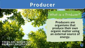 producer definition and exles