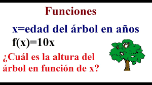 4 funciones qué significa f x