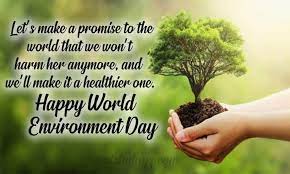 happy environment day es slogans