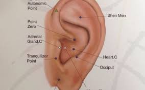 Ear Piercing Chart For Weight Loss Bedowntowndaytona Com