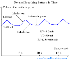 Normal Respiratory Frequency Volume