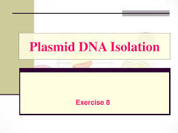 ppt plasmid dna isolation powerpoint