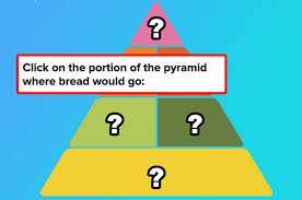 The food pyramid represents all the food groups and how many servings from each group you should have every day. Food Pyramid Quiz