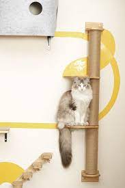Wall Mounted Cat Post White Pedal