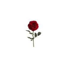 Fortnite rose team leader gamerpic profile pic andere gameflip gamerpics are customizable icons that are used as the profile picture for xbox accounts. Roses Gamerpic Xboxcustom Gamer Pic Why Is It Zoomed In Free Transparent Png Download Pngkey First Copy An Image You Want To Use As Gamerpic To It