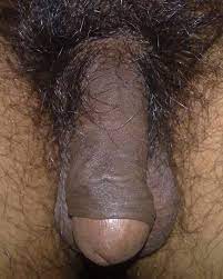 File:Indian Penis.jpg - Wikipedia