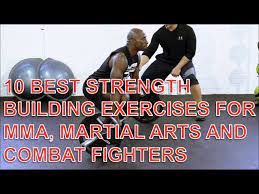 mma martial arts and combat fighters