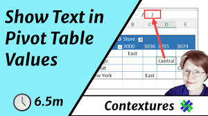 text in excel pivot table values area