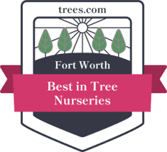 the best tree nurseries in fort worth