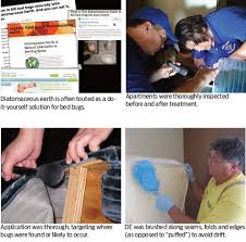Bug depot | do your own pest control and lawn care with the same products that exterminators use. Bed Bug Supplement Diatomaceous Earth Where Do Bed Bugs Stand When The Dust Settles Pct Pest Control Technology