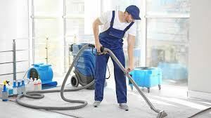carpet cleaning in versailles