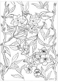 Fiori disegni fiori da colorare e disegnare per grandi e. Fiori E Vegetazione Disegni Da Colorare Per Adulti