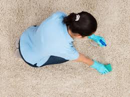 best techniques to clean your carpet